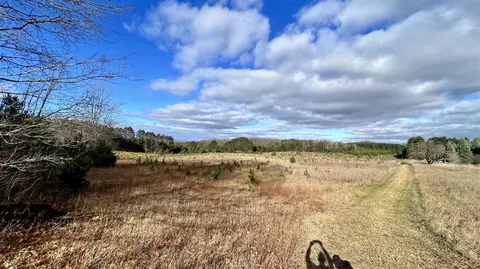 74 Acres 16 Mile Rd, Manton, MI 49663 photo 8