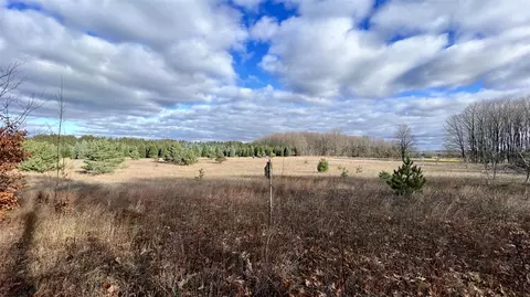 74 Acres 16 Mile Rd, Manton, MI 49663 photo 5