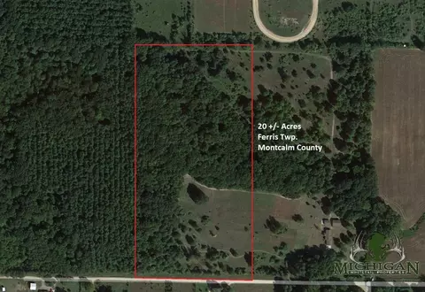 Vl E Klees Road, Crystal, MI 48818