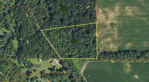 4 53 Vl Lyons, Lyons, MI 48851 photo 23