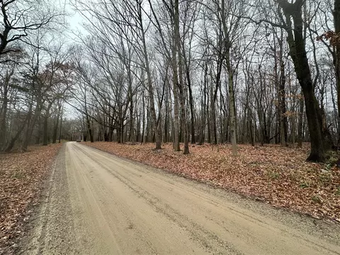 4 53 Vl Lyons, Lyons, MI 48851 photo 22
