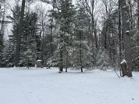 5801 S Crossover, Baldwin, MI 49304 photo 19