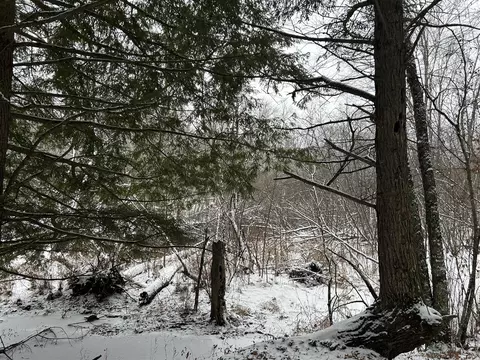 5801 S Crossover, Baldwin, MI 49304 photo 15