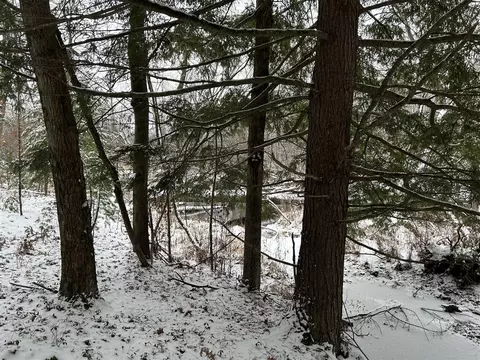 5801 S Crossover, Baldwin, MI 49304 photo 3