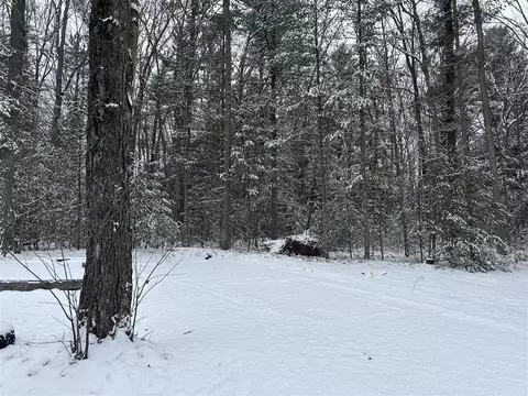 5801 S Crossover, Baldwin, MI 49304 photo 23