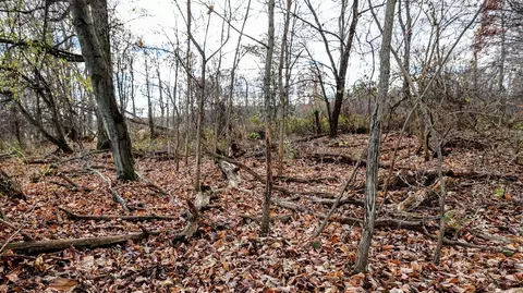 V/l 17 Mile, Marshall, MI 49068 photo 10