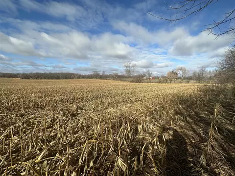 Culbert, Osseo, MI 49266 photo 4