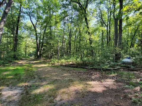 17302 6th, Wellston, MI 49689