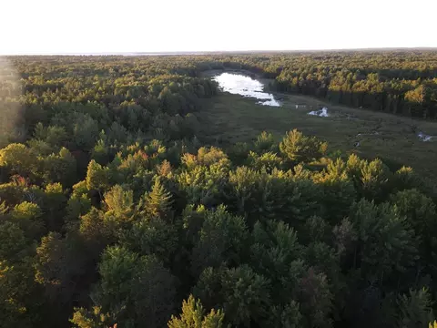 West Emery, Prudenville, MI 48651