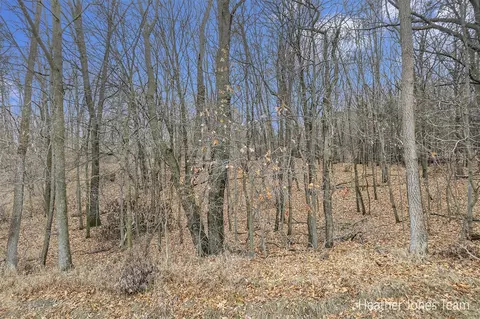 Lot B Harkness, Belding, MI 48809 photo 4