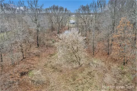 Lot B Harkness, Belding, MI 48809 photo 9