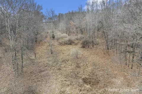 Lot B Harkness, Belding, MI 48809 photo 6