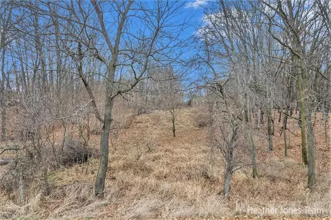 Lot B Harkness, Belding, MI 48809 photo 3