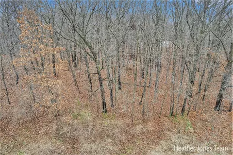Lot B Harkness, Belding, MI 48809 photo 11