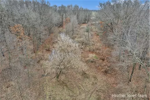 Lot B Harkness, Belding, MI 48809 photo 10