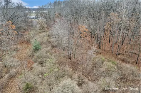 Lot B Harkness, Belding, MI 48809 photo 7