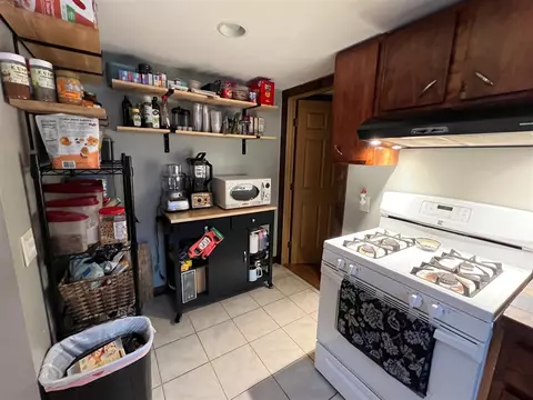1047 S S Brg, Belding, MI 48809 photo 22