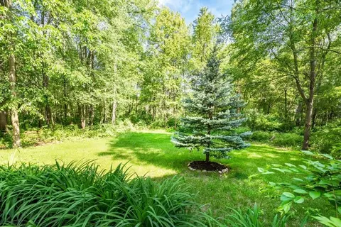 7856 Poplar, Dexter, MI 48130 photo 49