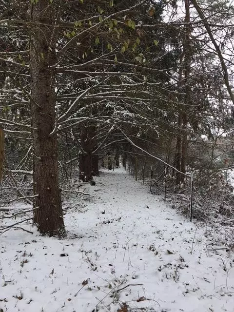 9260 Moon, Saline, MI 48176 photo 54