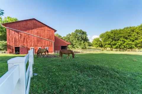 7640 Zeeb, Dexter, MI 48130 photo 58