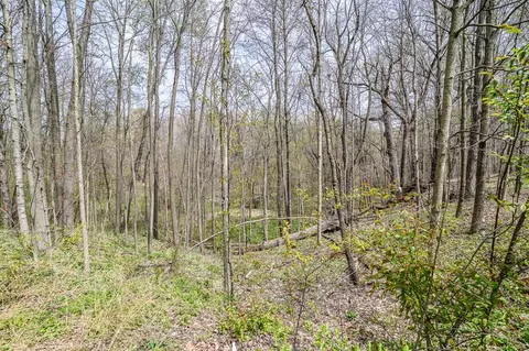 3469 Oak Park, Saline, MI 48176 photo 73