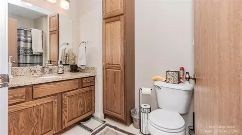 226 Commons, Saline, MI 48176 photo 15
