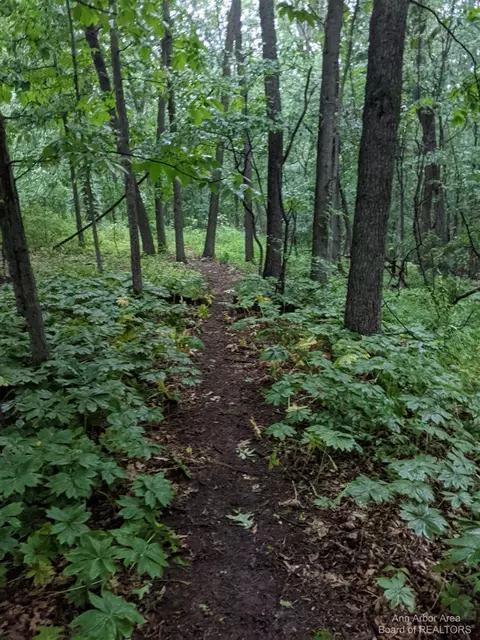 3575 Brighton, Howell, MI 48843 photo 85