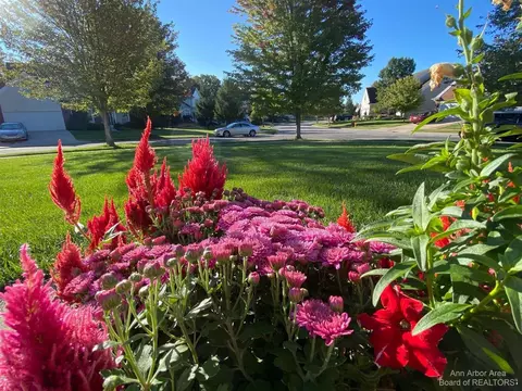 6992 Wellington, Dexter, MI 48130 photo 36