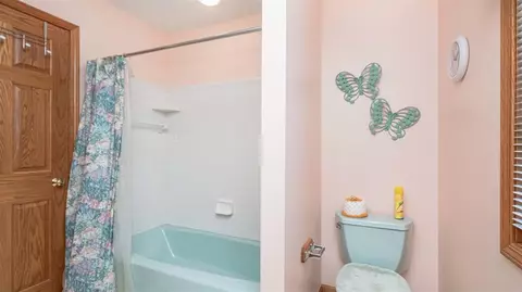 3384 Camino Del Sol, Williamston, MI 48895 photo 61