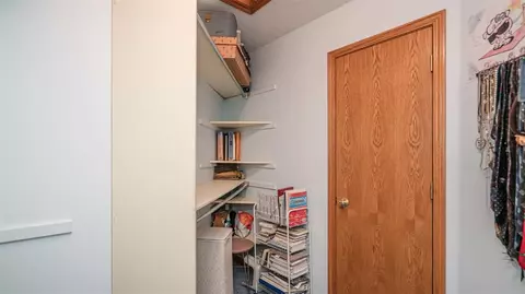 3384 Camino Del Sol, Williamston, MI 48895 photo 52