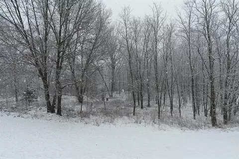 7292 N Lake Orch, Gregory, MI 48137 photo 6