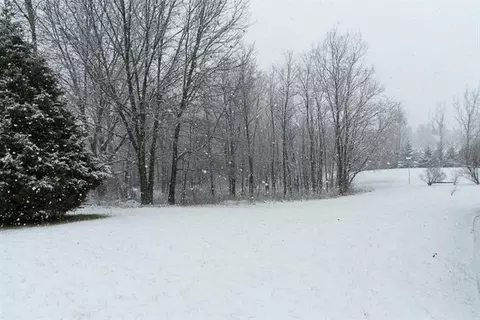 7292 N Lake Orch, Gregory, MI 48137 photo 7