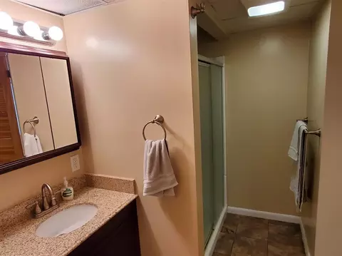 6601 King, Spring Arbor, MI 49283 photo 30