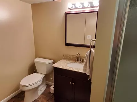 6601 King, Spring Arbor, MI 49283 photo 29