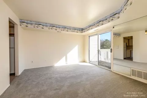 2205 S Huron #4, Ann Arbor, MI 48104 photo 8