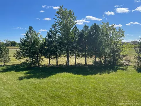 469 Corinth, Dundee, MI 48131 photo 25