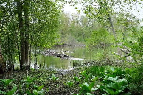 7717 Huron River Dr, Dexter, MI 48130 photo 42