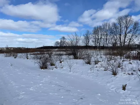 0 Creek, Grass Lake, MI 49240