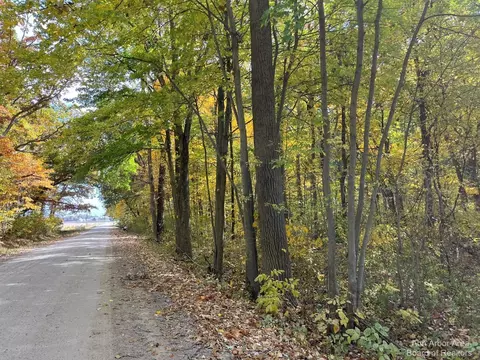 0 Allison, Update, MI 48160 photo 3