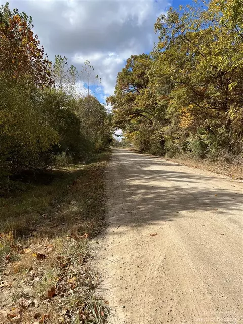0 Allison, Update, MI 48160 photo 5