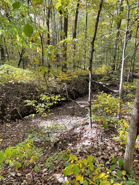 0 Allison, Update, MI 48160 photo 13