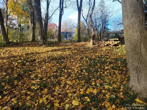1313 Fountain, Ann Arbor, MI 48103