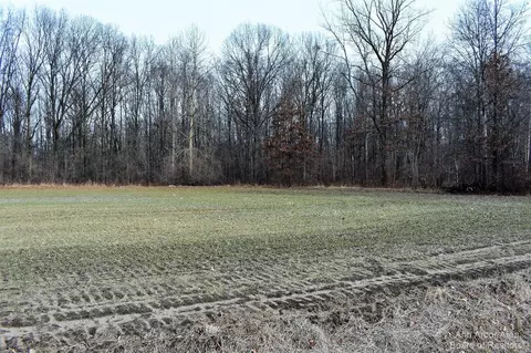 1 Ostrander, Maybee, MI 48159 photo 3