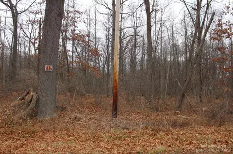 0 Orban Parcel A, Grass Lake, MI 49240