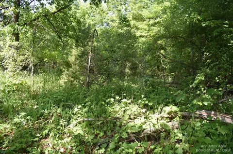 2 Townsend, Update, MI 48160 photo 6