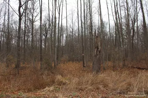 0 Orban Parcel B, Grass Lake, MI 49240
