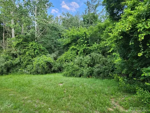 0 Plank Rd, Update, MI 48159