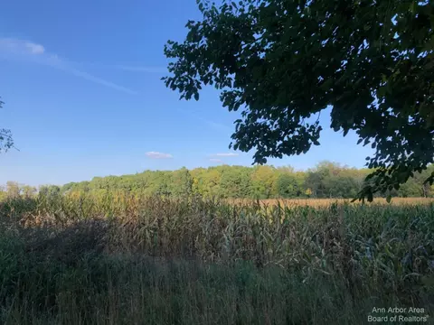 0 English, Manchester, MI 48158