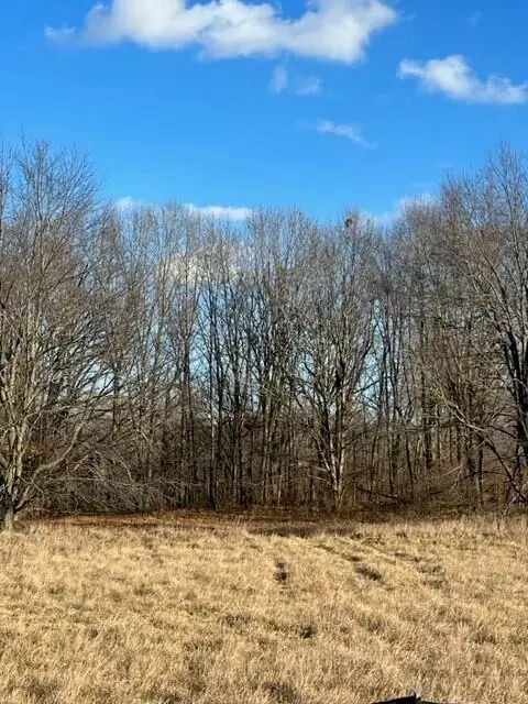 0 Overlook #7, Saline, MI 48176 photo 2