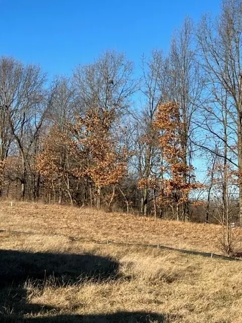 0 Overlook #7, Saline, MI 48176 photo 4